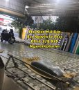 Bạt Che Nắng Mưa Ngoài Trời Giá Rẻ Uy Tín Tại Củ Chi TPHCM