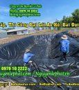 Thi Công Bạt Lót Hồ Tỉnh Gia Lai – BẠT LÓT HỒ giao tận nơi tại Gia Lai